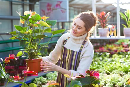 Top Eco-Friendly Plant Choices for Sustainable Urban Gardening and Amateur Farming