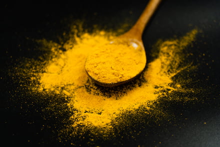 Solein: The Future of Sustainable Nutrition Powder
