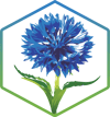 sustainability lifestyle earth